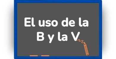 El uso de la b y la v para niños de primaria con ejemplos y actividades