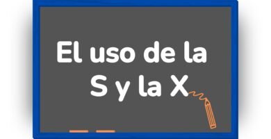 El uso de la S y la X para niños de primaria con ejemplos y actividades