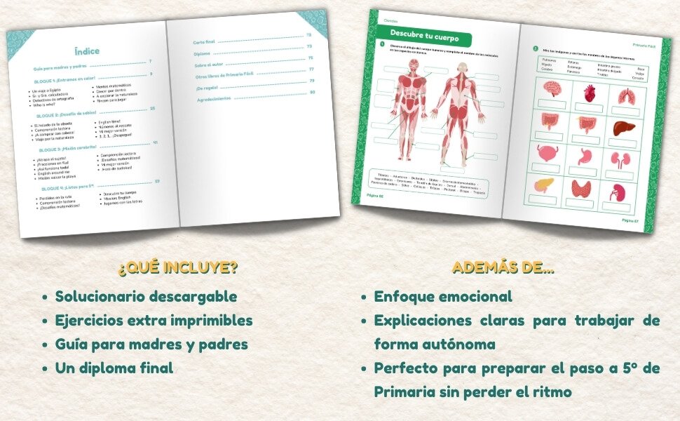 repaso 4 primaria verano
